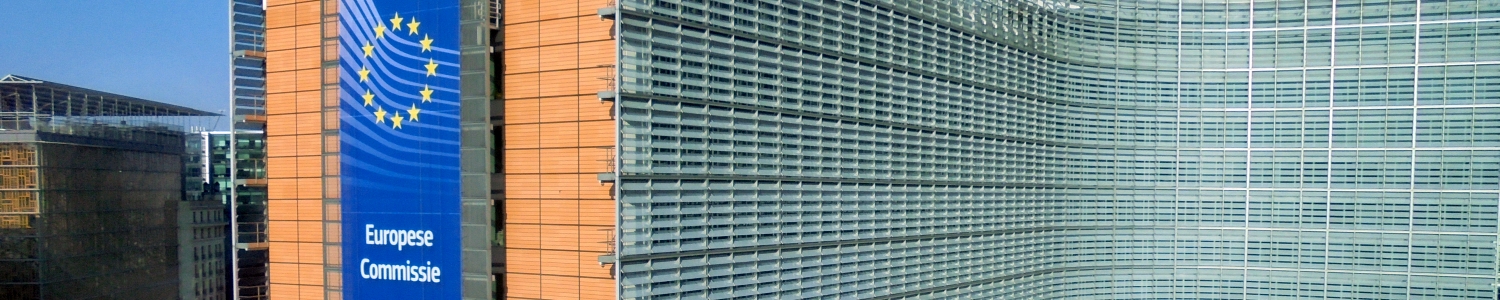 bump report brussels annonce